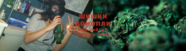 apvp Богородск