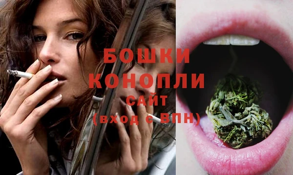 бошки Богородицк