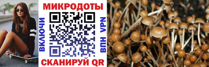 МЕГА как зайти  наркошоп  Армавир  Галлюциногенные грибы MAGIC MUSHROOMS 